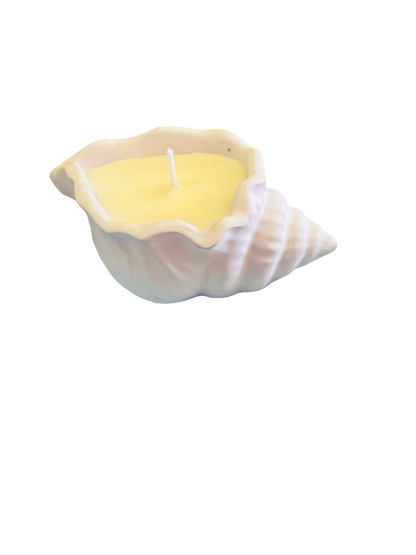Κοχύλι small